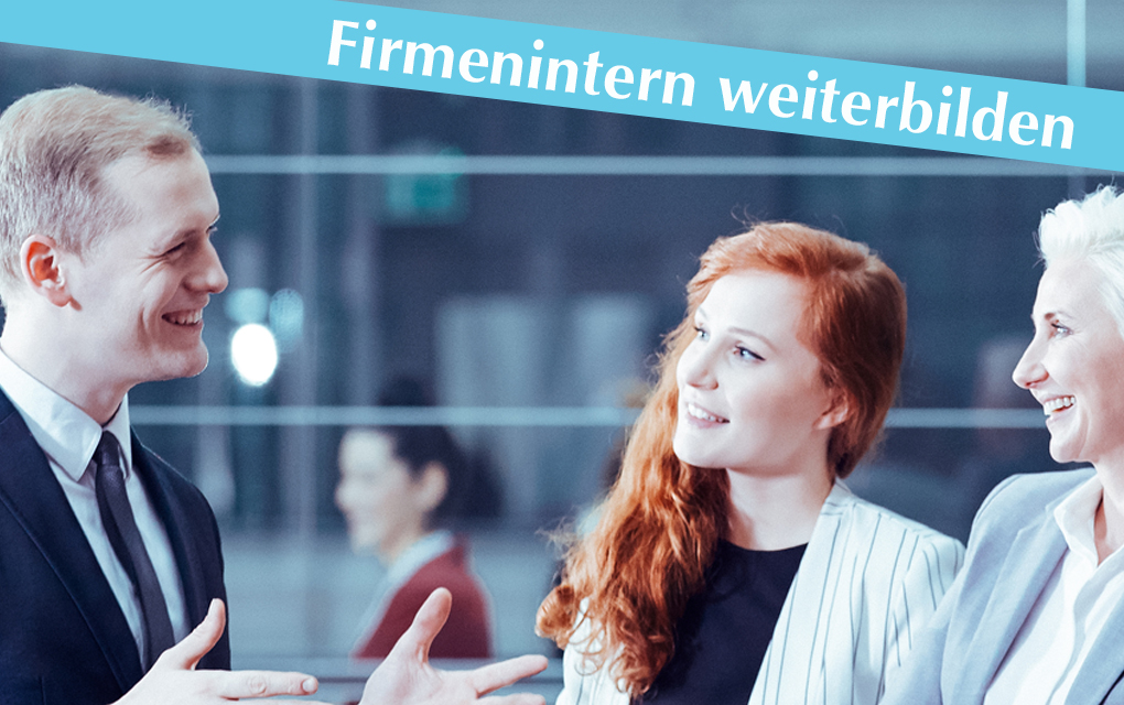 Grafik für -Internationale Unternehmen: Wie bilde ich meine Mitarbeiter/innen aus?